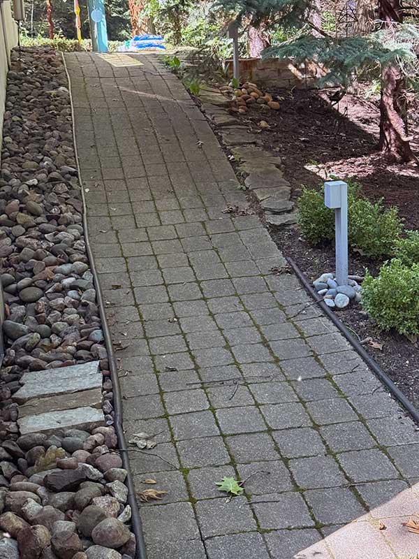 Pavers before cleaning